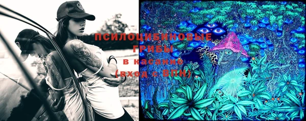 герыч Волоколамск