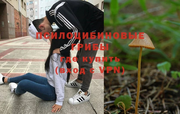 не бодяженный Володарск