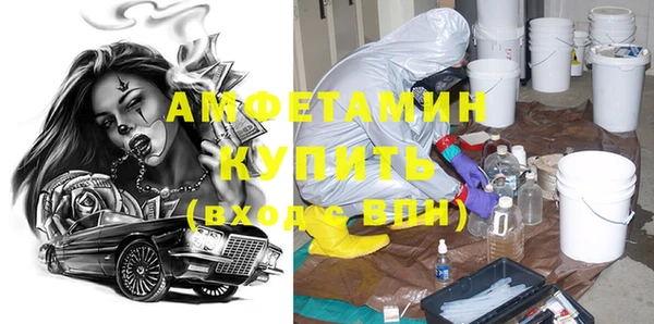 сатива Покачи