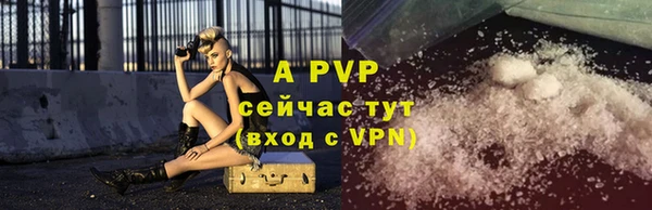 сатива Покачи