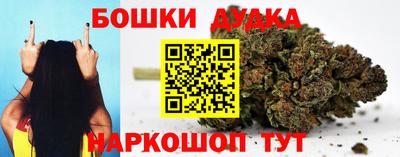 стаф Обь