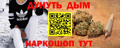 дмт Пенза
