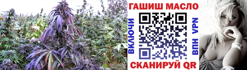 ТГК Wax  дарк нет Telegram  Дальнереченск  где можно купить  