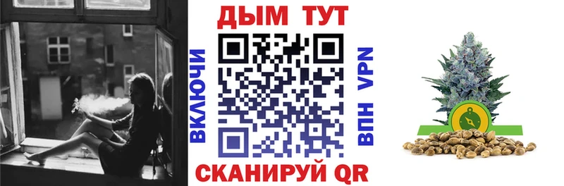 Бошки Шишки план Дальнереченск